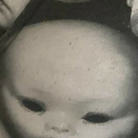 доллипасифика Голая